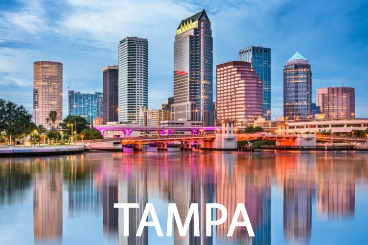 Holistic wellness support in Tampa, FL